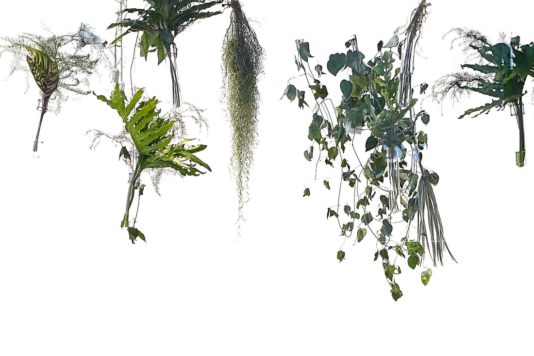 イデーショップ渋谷店でのお取り扱い開始のお知らせ