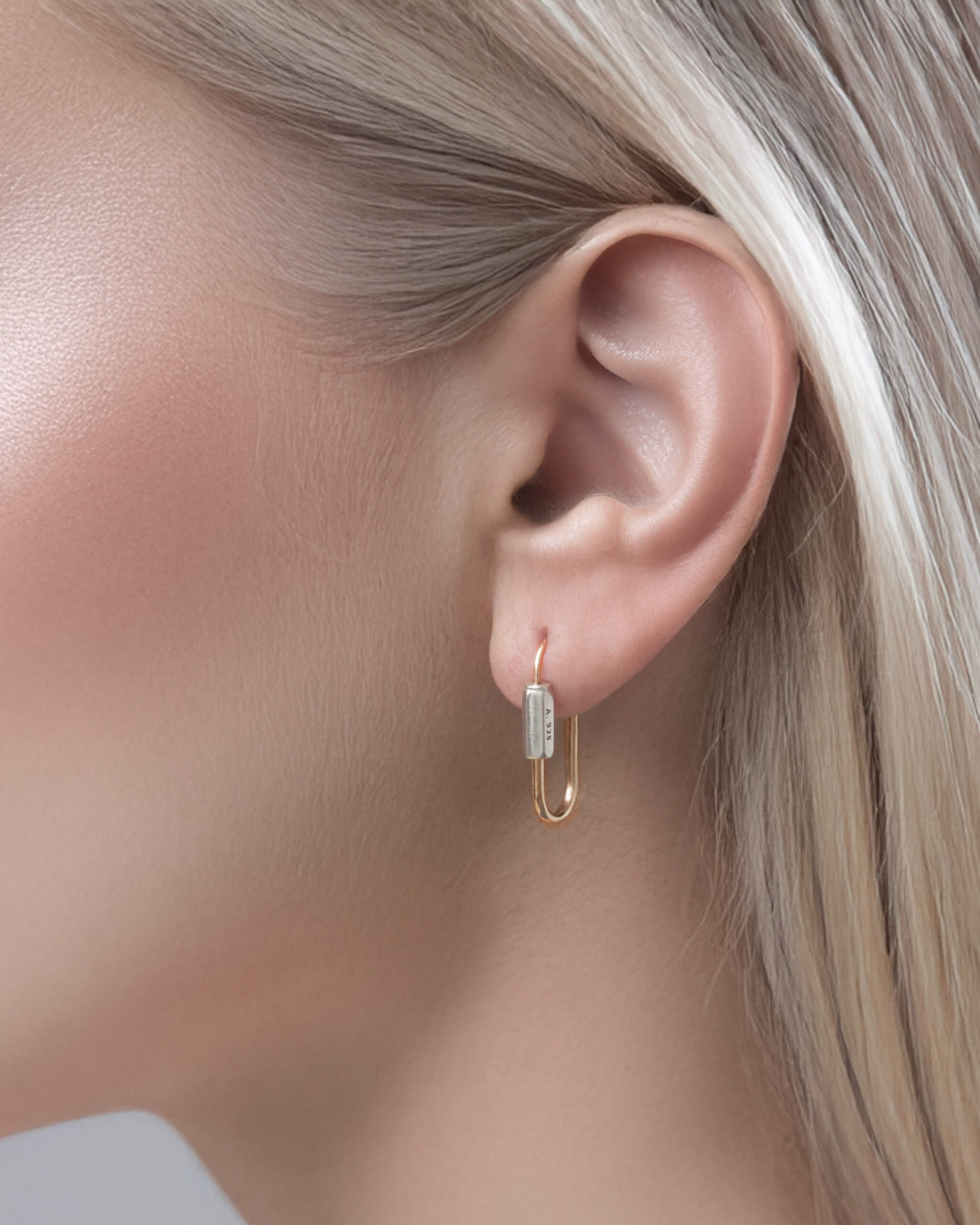 Hoop Earring S GD/SV | 1706E303131