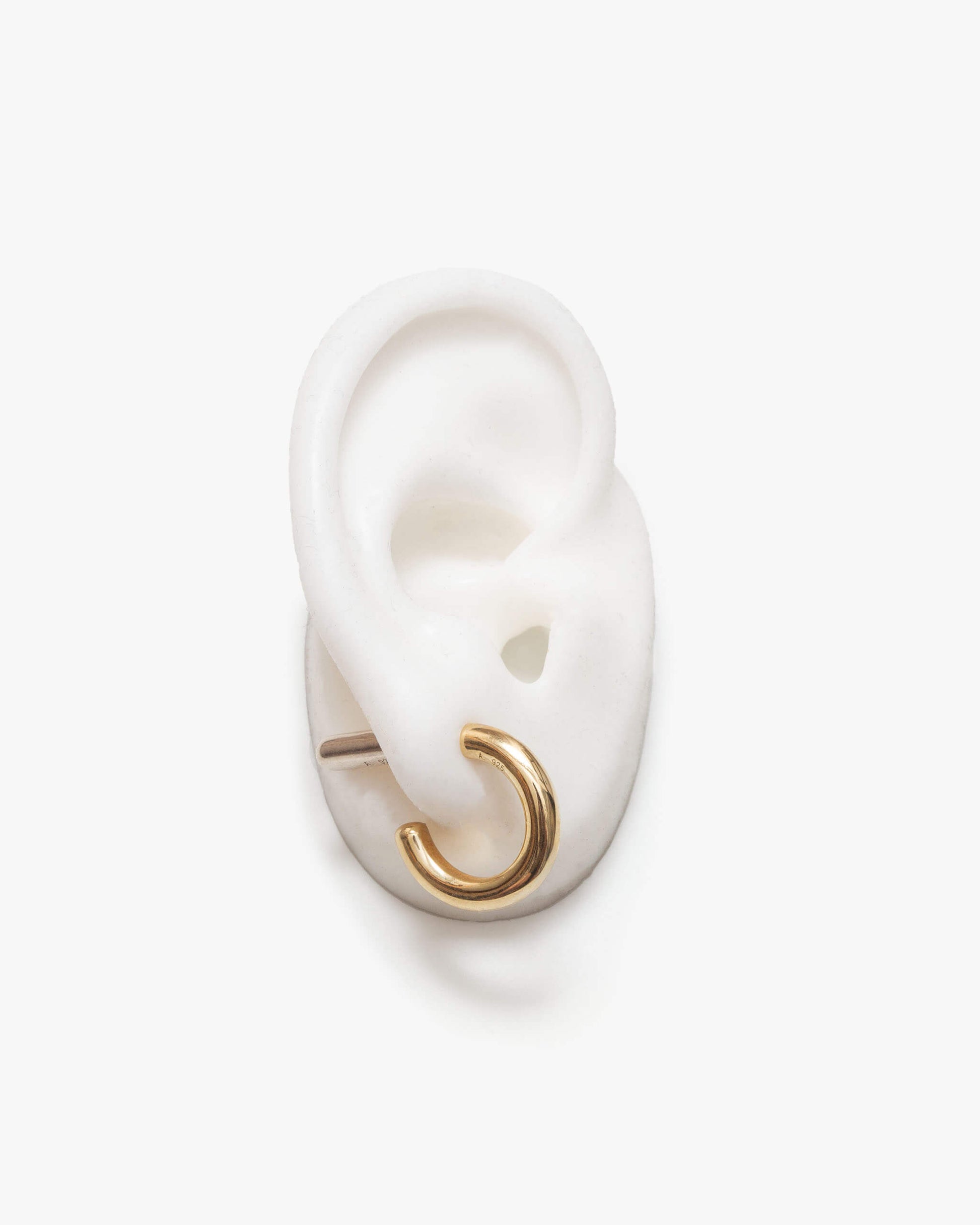 Bicolor Hoop Earring | 2001E011021