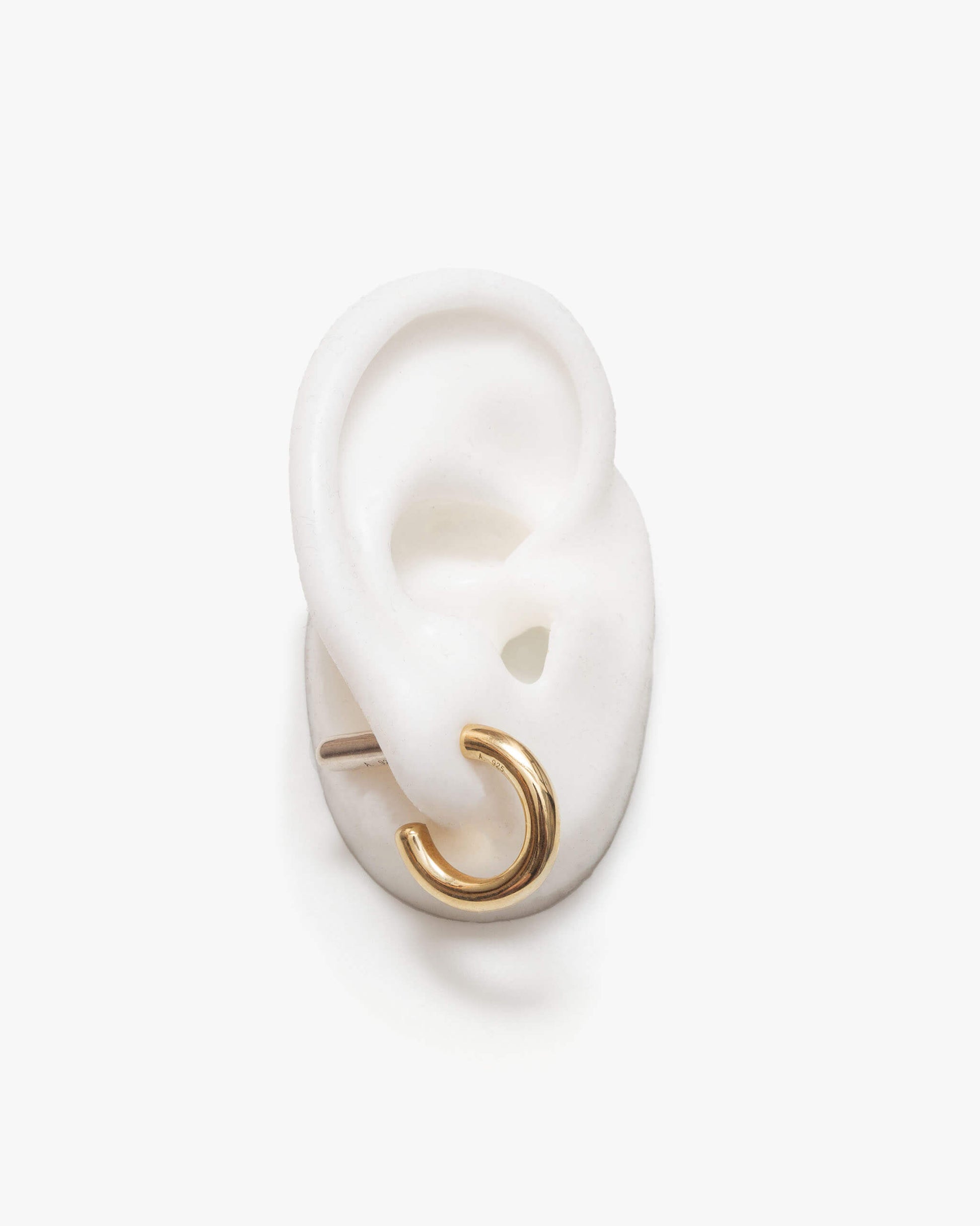 Hoop Earring L | 2001E011020