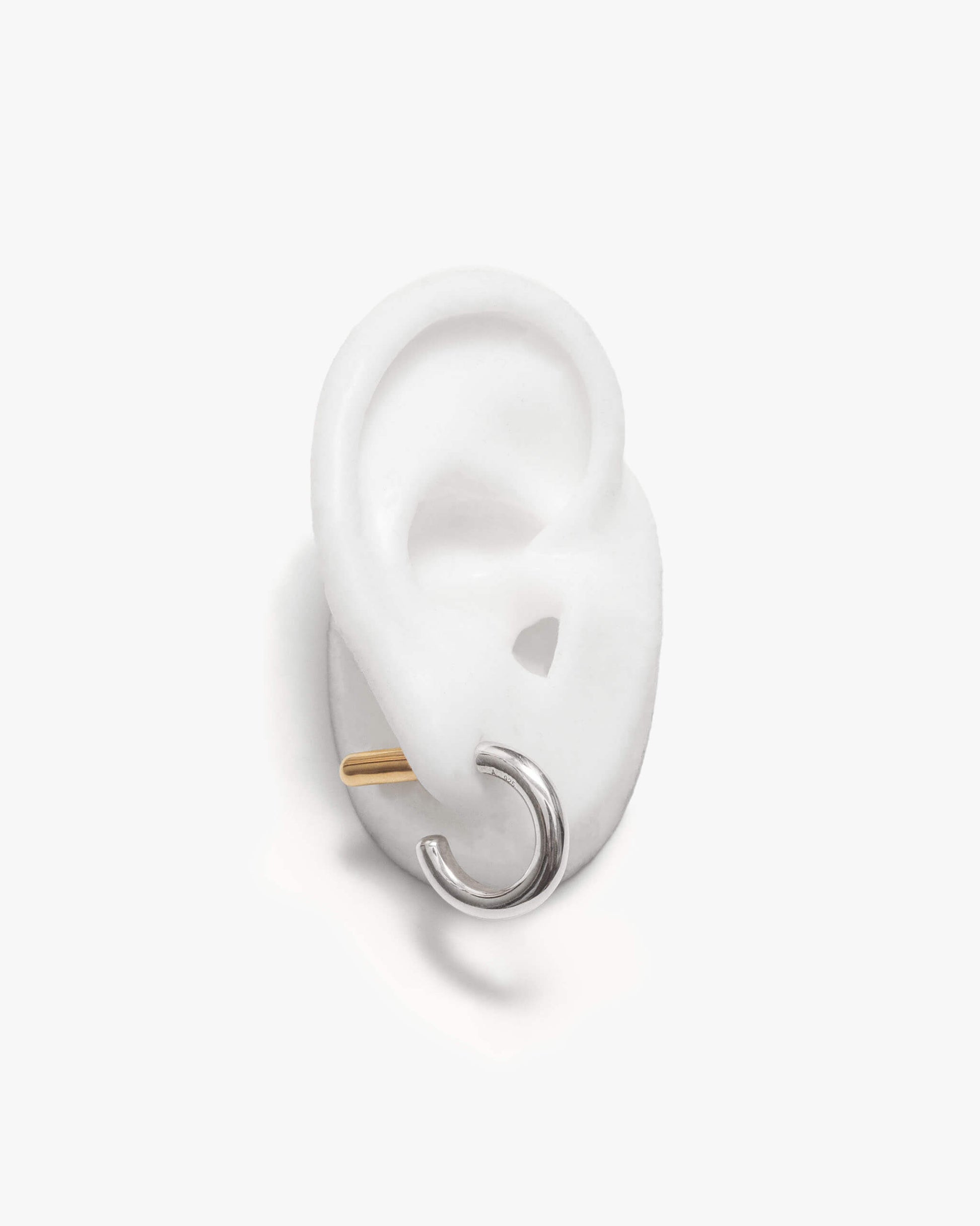Bicolor Hoop Earring | 2001E011012