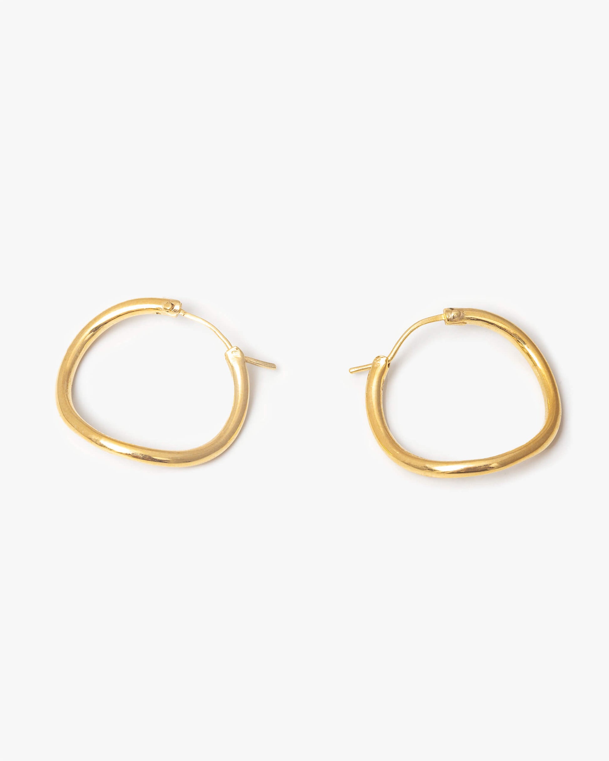 Hoop Earrings L |  1602E151010