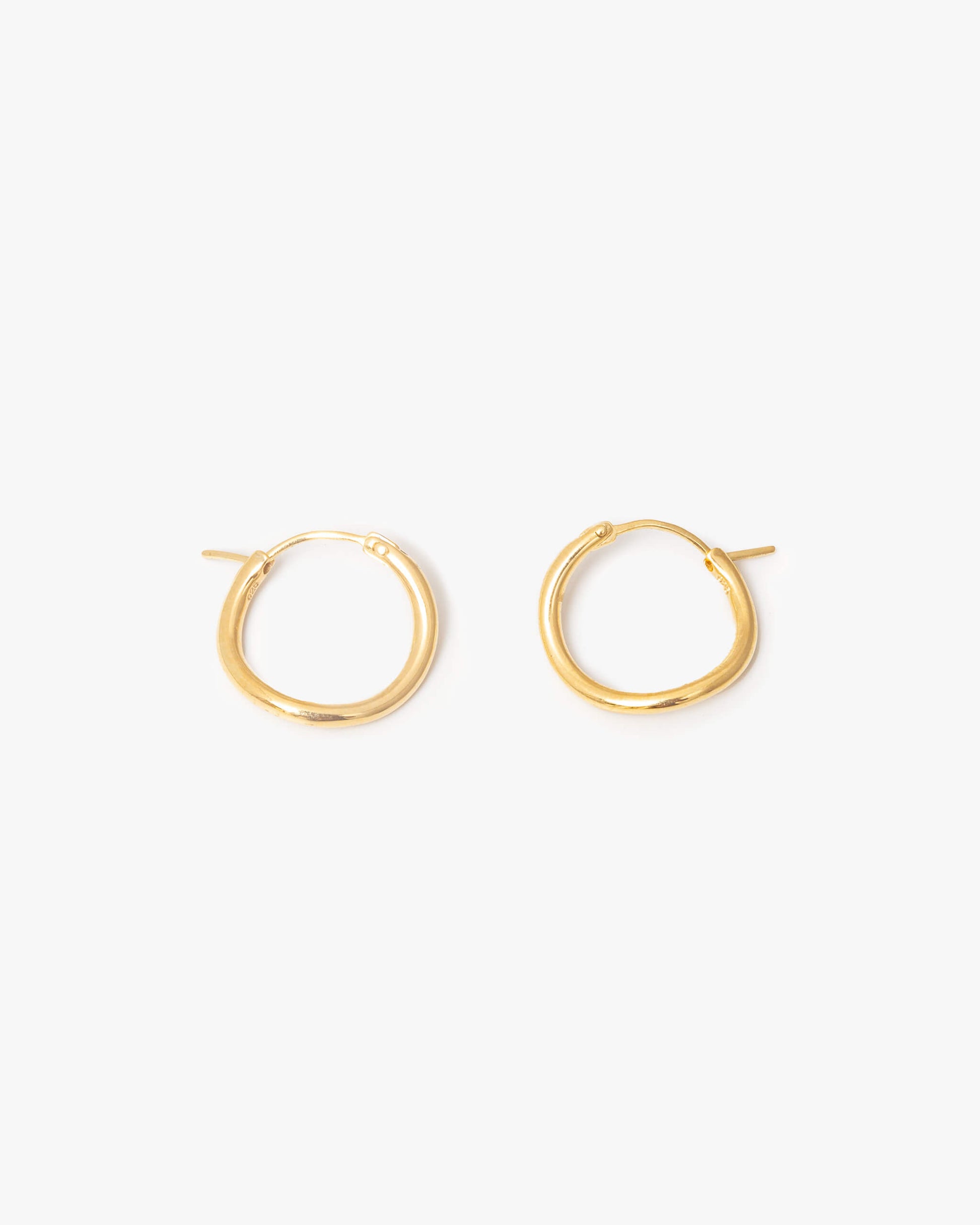 Hoop Earrings S | 1602E161010
