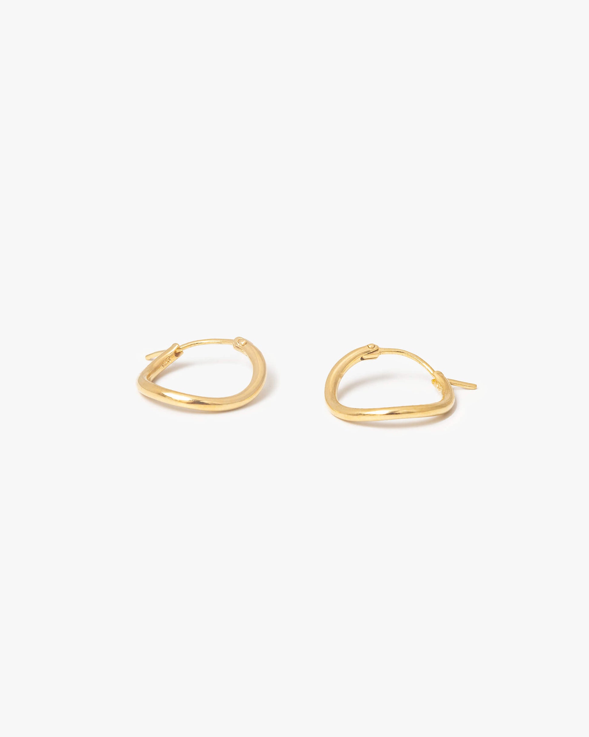 Hoop Earrings S | 1602E161010