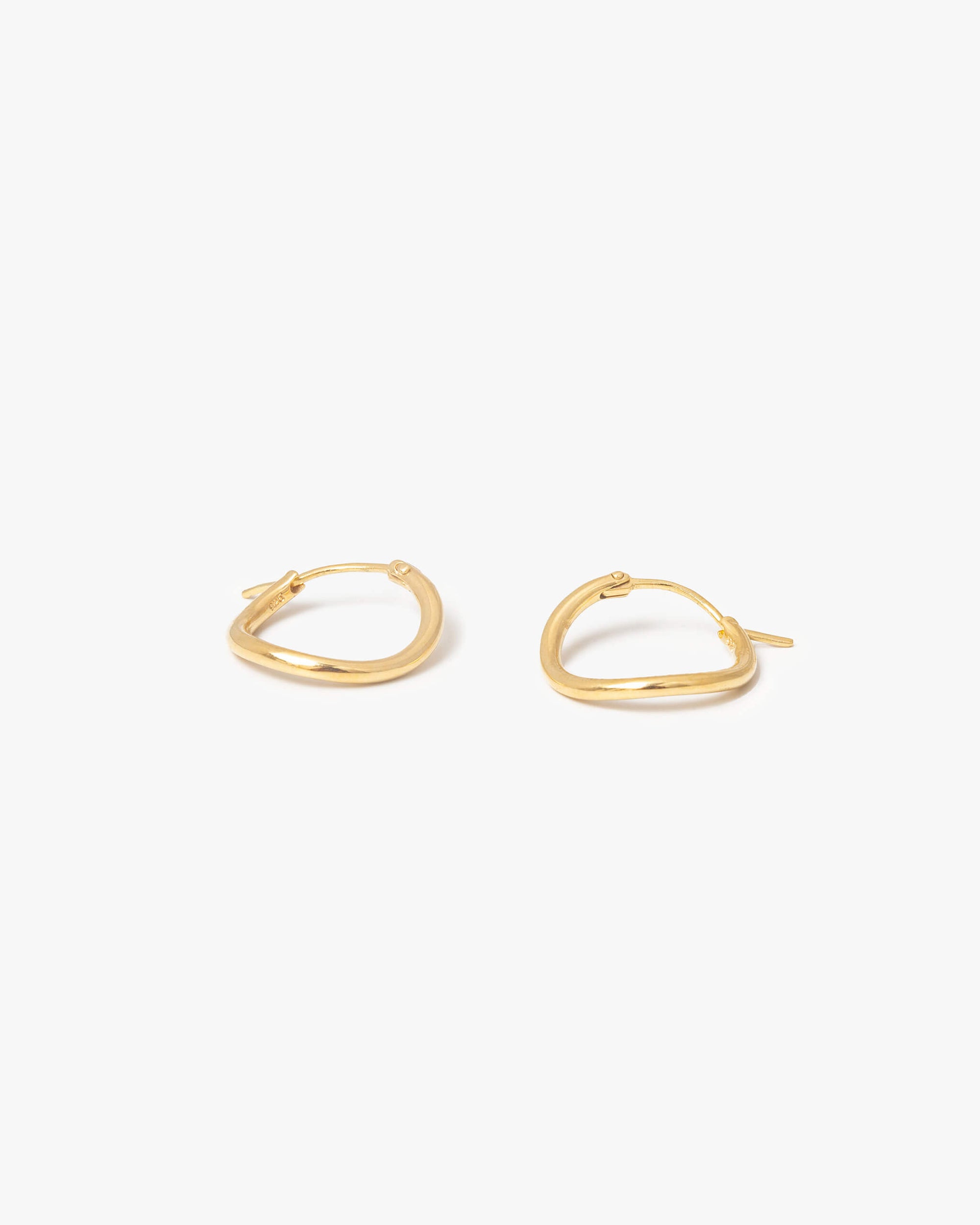 Hoop Earrings S | 1602E161010