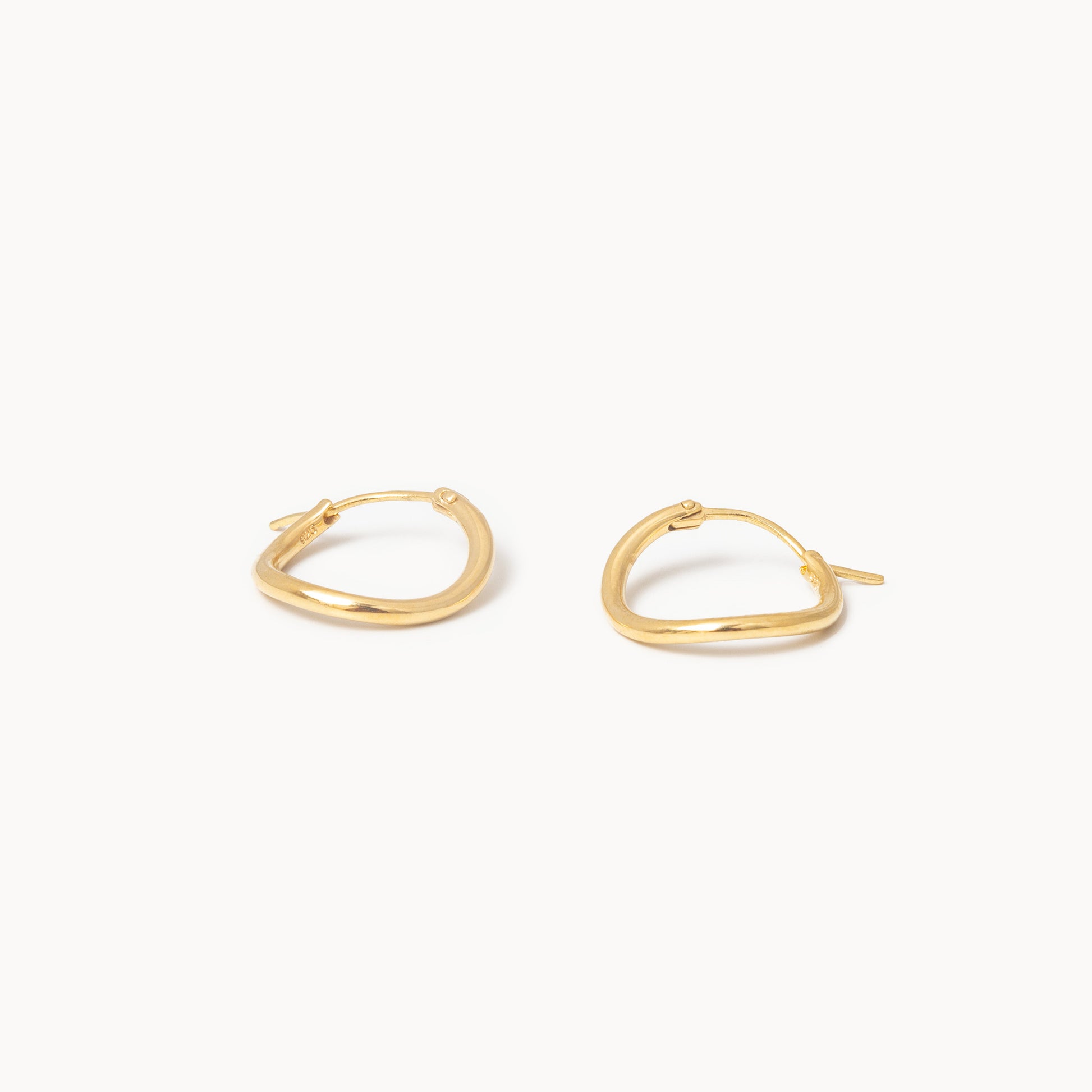 Hoop Earrings S | 1602E161010