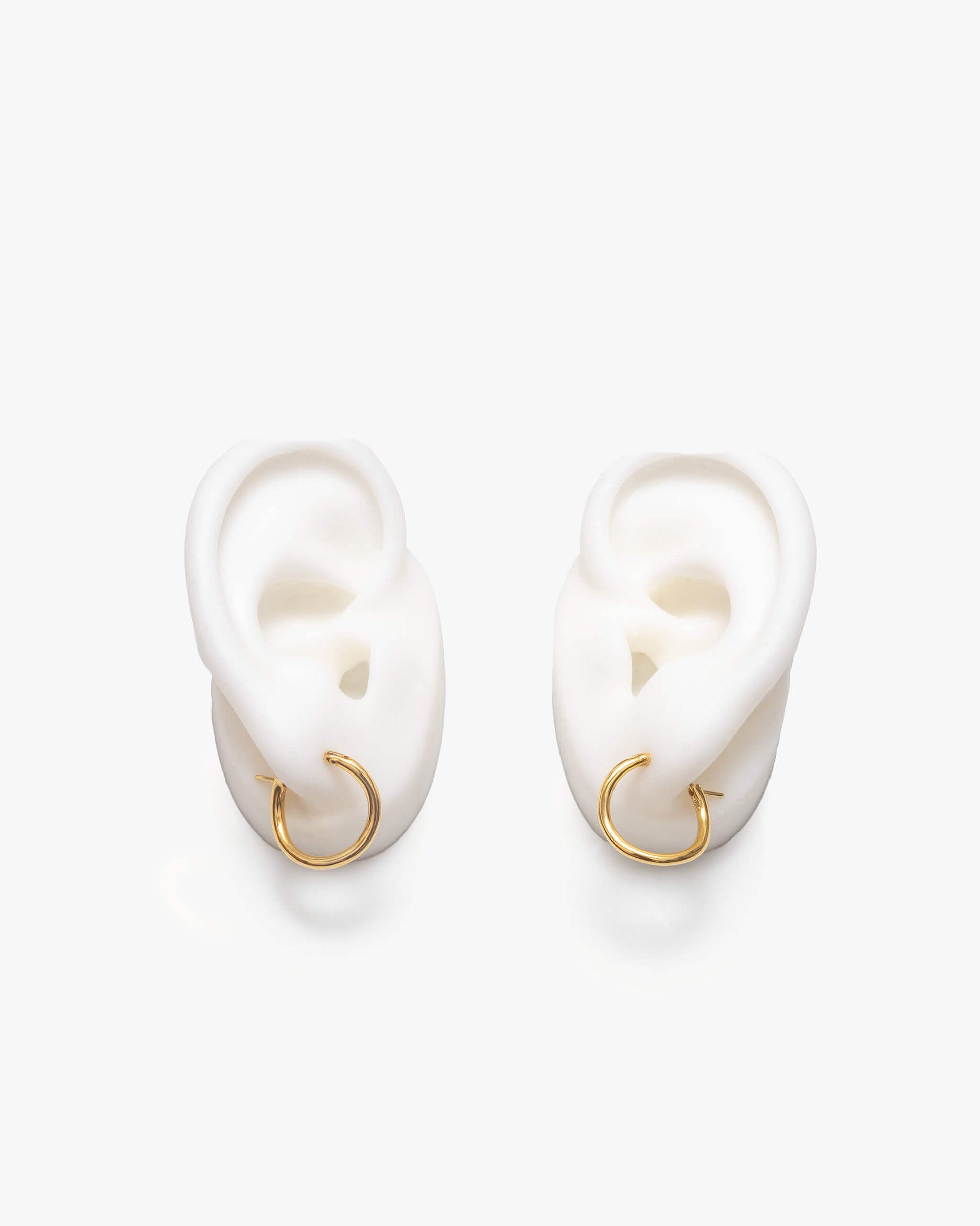Hoop Earrings S | 1602E161010