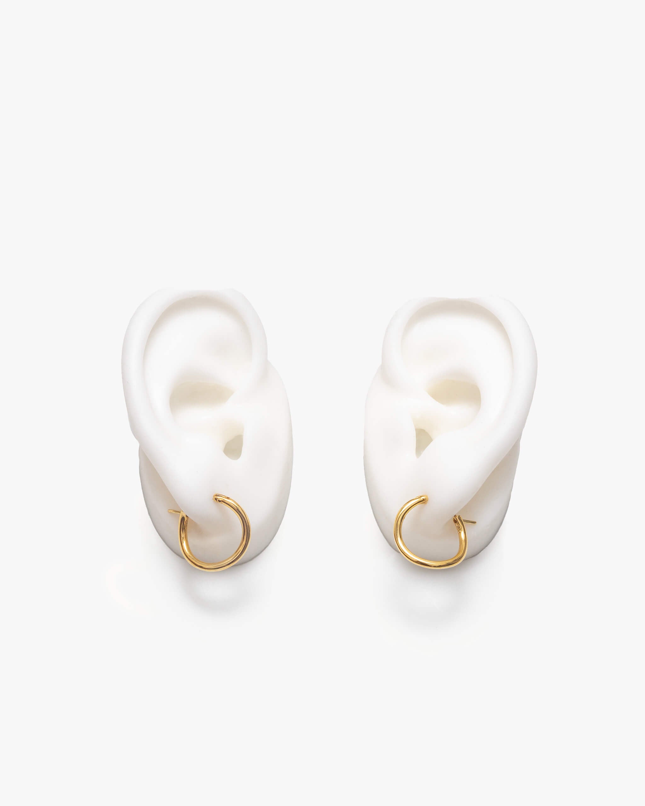 Hoop Earrings S | 1602E161010