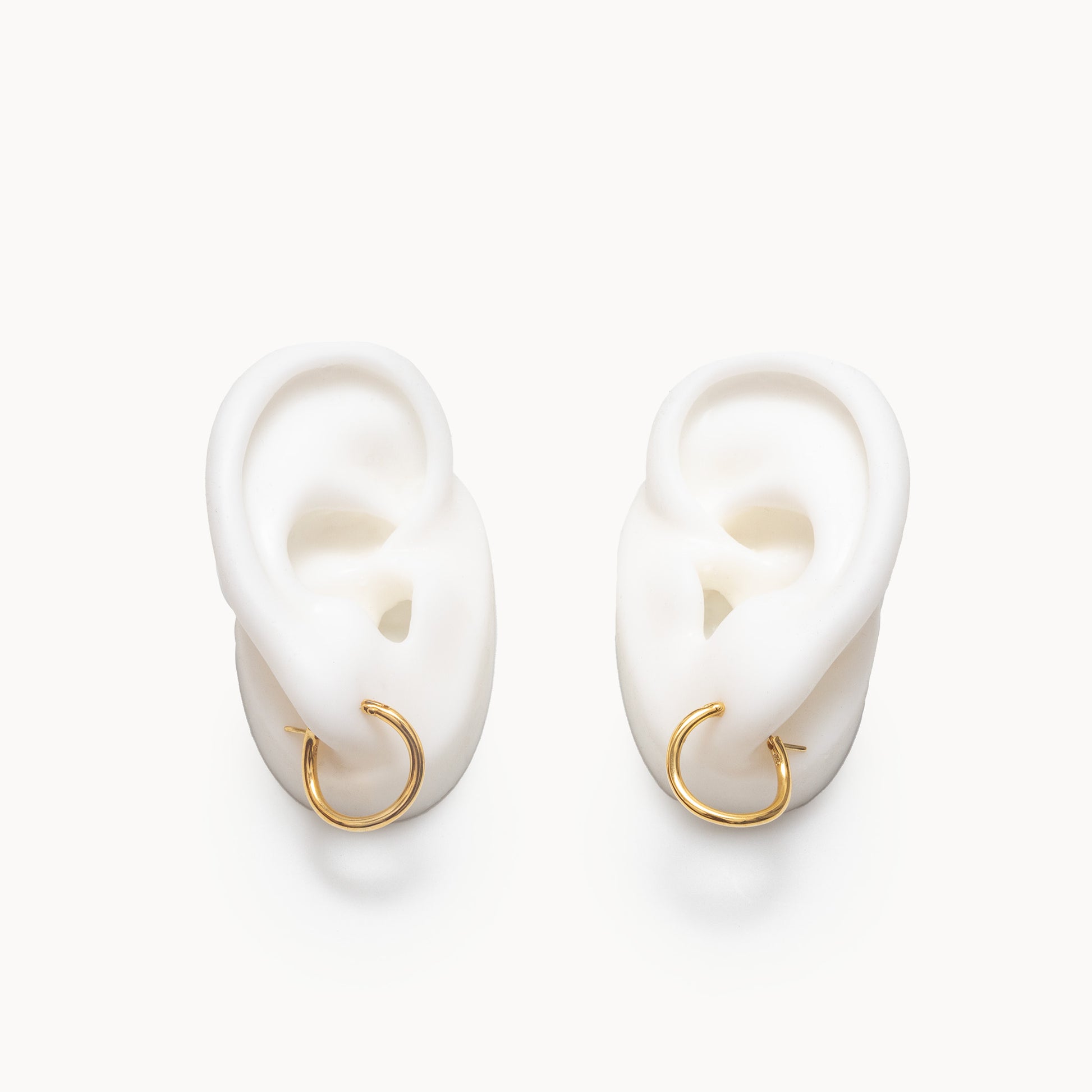 Hoop Earrings S | 1602E161010