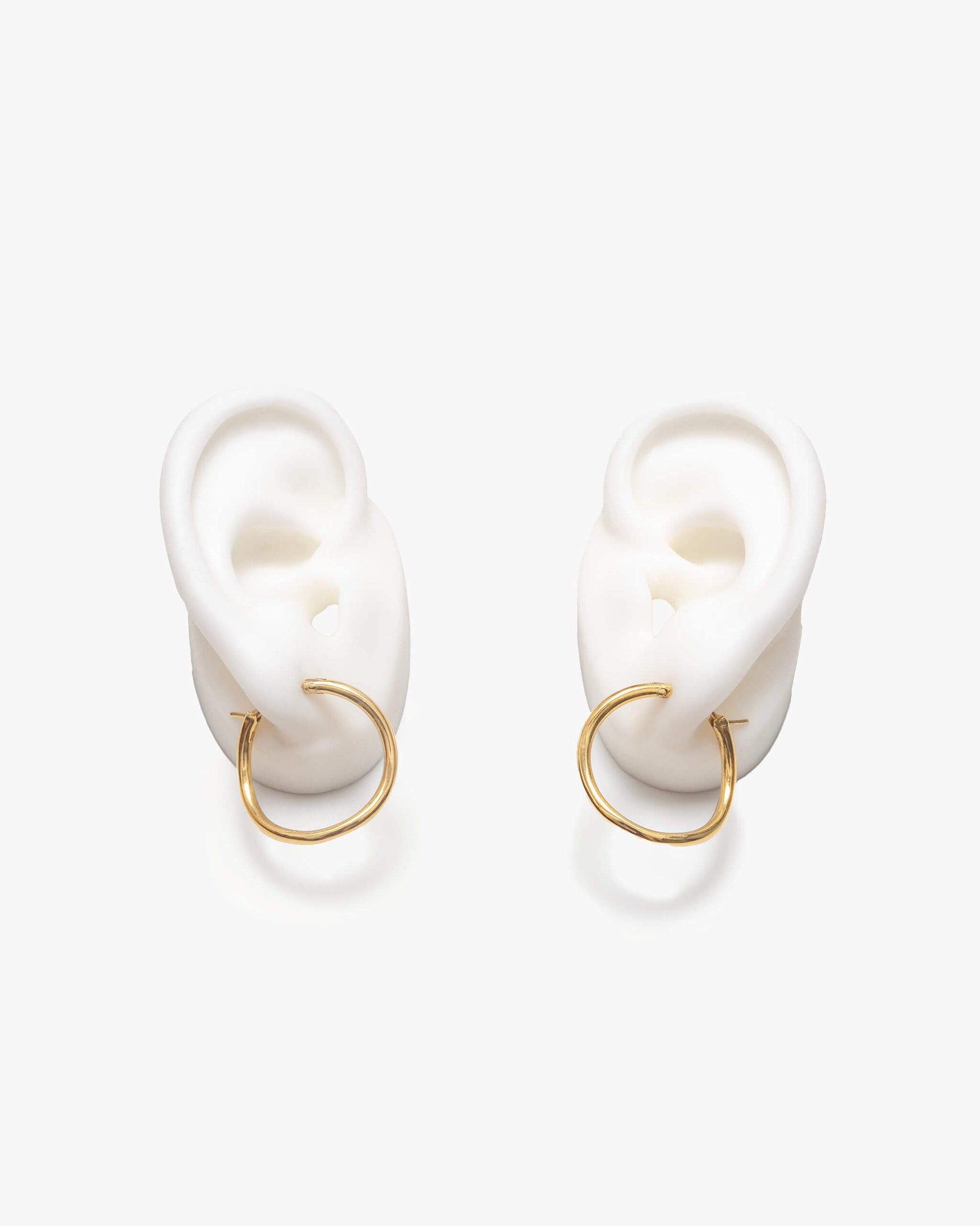 Hoop Earrings L |  1602E151010