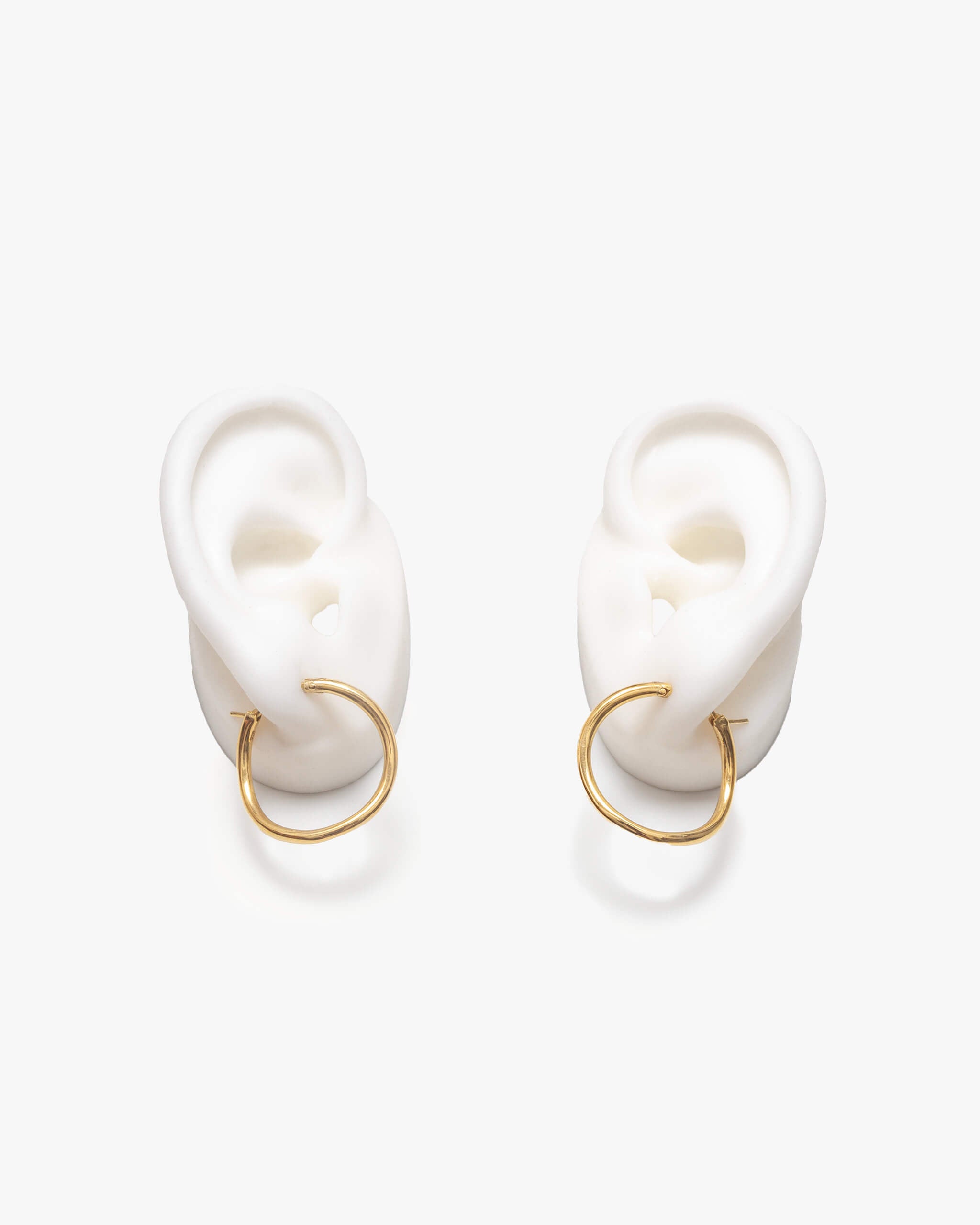 Hoop Earrings L |  1602E151010