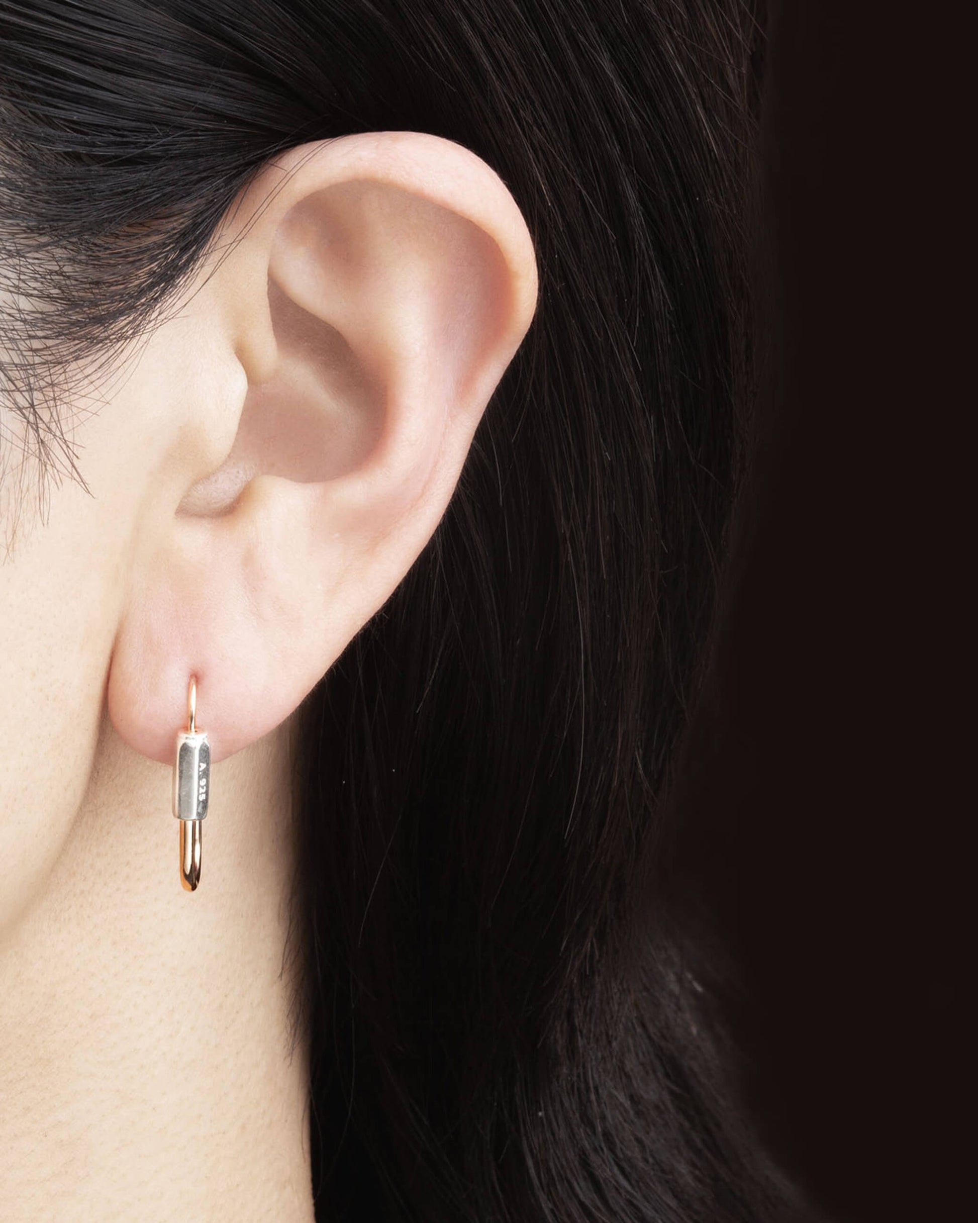Hoop Earring S GD/SV | 1706E303131